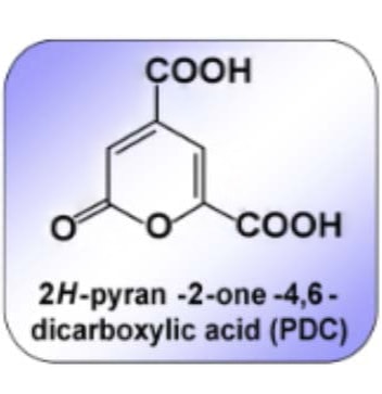 第３のバイオプラスチック原料PDC