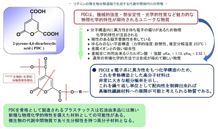 図02